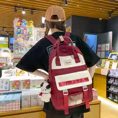 尼格尔大容量双肩包女高中生尼龙电脑旅行背包初中生书包女大学生韩版高颜值 多色