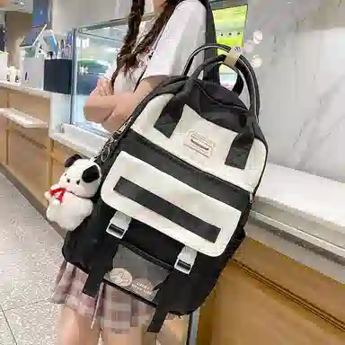 尼格尔大容量双肩包女高中生尼龙电脑旅行背包初中生书包女大学生韩版高颜值 多色