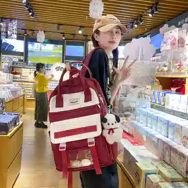 尼格尔大容量双肩包女高中生尼龙电脑旅行背包初中生书包女大学生韩版高颜值 多色