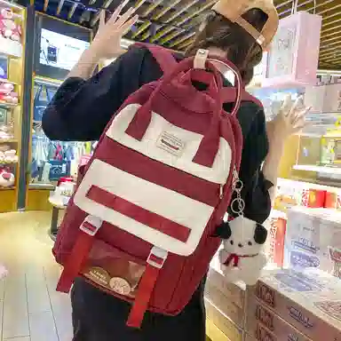 尼格尔大容量双肩包女高中生尼龙电脑旅行背包初中生书包女大学生韩版高颜值 多色