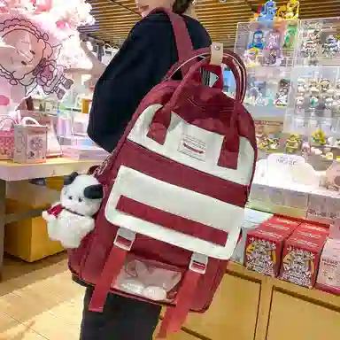 尼格尔大容量双肩包女高中生尼龙电脑旅行背包初中生书包女大学生韩版高颜值 多色