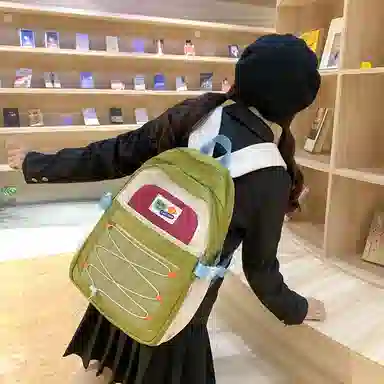 NIGEERins