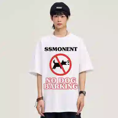 SUNSETMONENT T