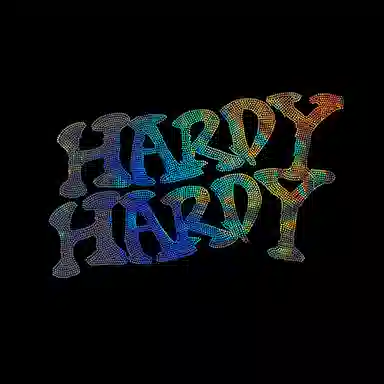 HARDY HARDY T