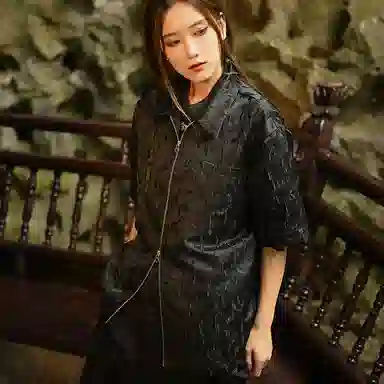 Sanshengliubu Chinesefit Jacquard Zip Shirt