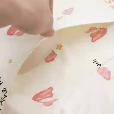 ROMANTICSPRING