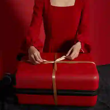 BROMEN BAGS pc 20242622