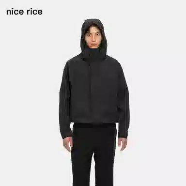 nice rice