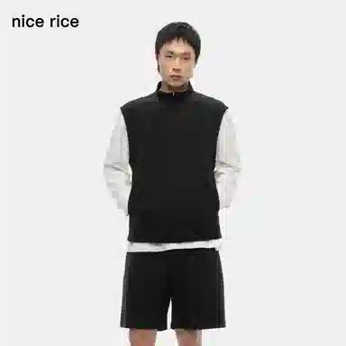 nice rice s.