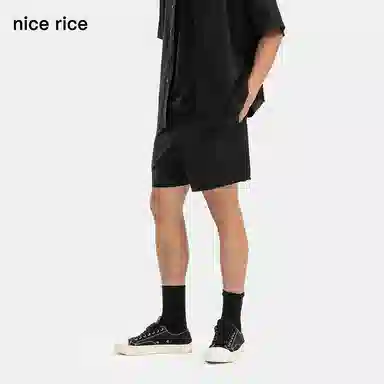 nice rice s.
