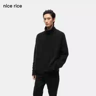 nice rice V