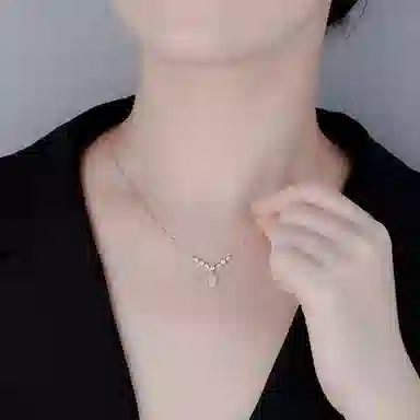 NBBDV ins