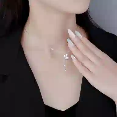 NBBDV