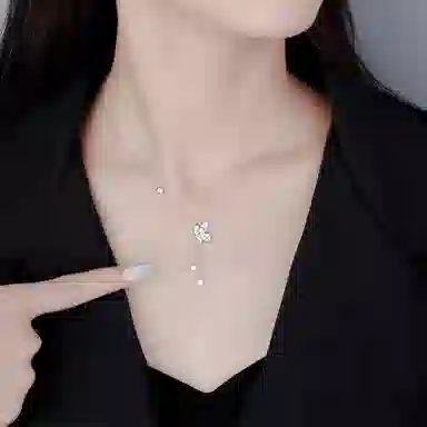 NBBDV