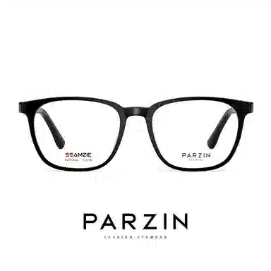 PARZIN