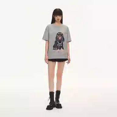 CLIMAX VISION T