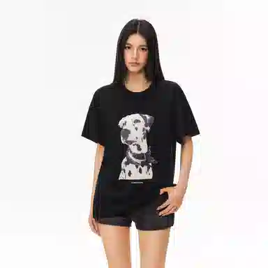 CLIMAX VISION T