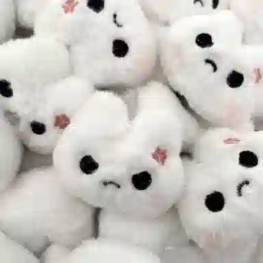 DAP