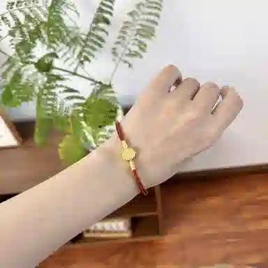 DAP