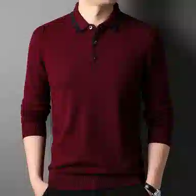 PIERRE CARDIN tpolo100
