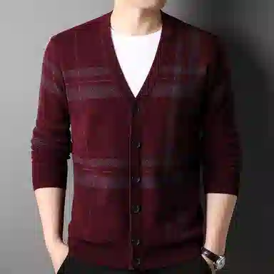 PIERRE CARDIN 100