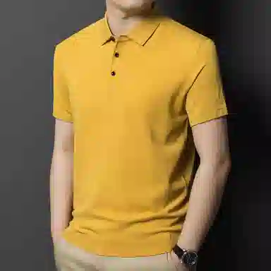 PIERRE CARDIN Polo