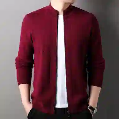 PIERRE CARDIN 100