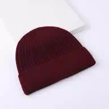PIERRE CARDIN 100