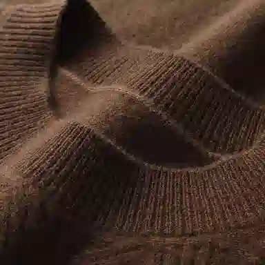 PIERRE CARDIN