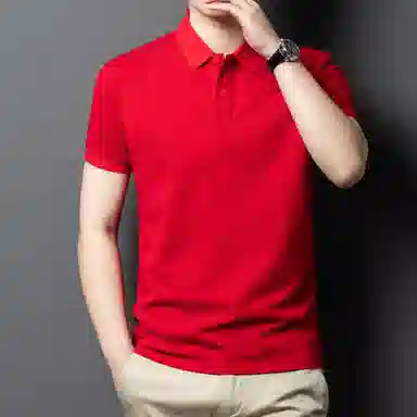 PIERRE CARDIN Polo