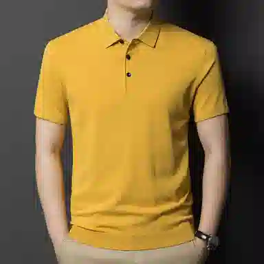 PIERRE CARDIN Polo