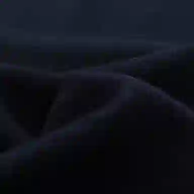 PIERRE CARDIN 1002025