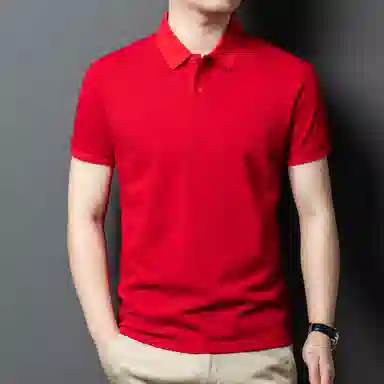 PIERRE CARDIN Polo