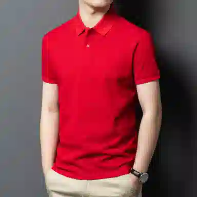 PIERRE CARDIN Polo