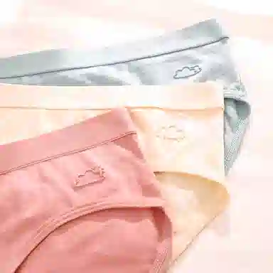 棉基因 舒适柔软亲肤简约透气抑菌裆中腰高弹三角内裤 女款 组合装