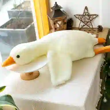 50cm90cm130cm160cm190cm