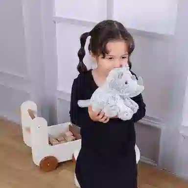 APRICOT LAMB 20cm30cm