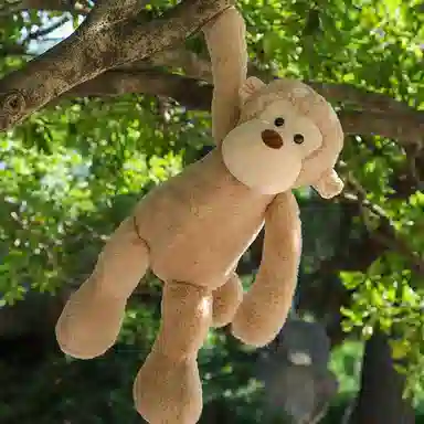 APRICOT LAMB 18cm23cm30cm