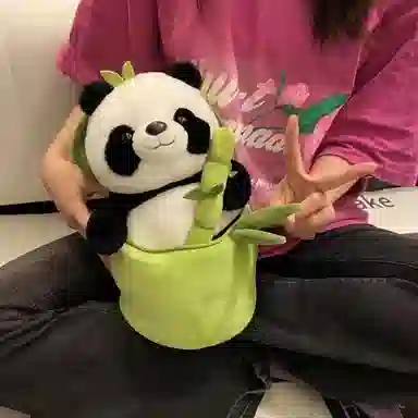 30cm