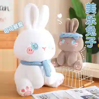 30cm50cm