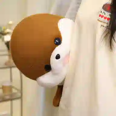 35cm50cm
