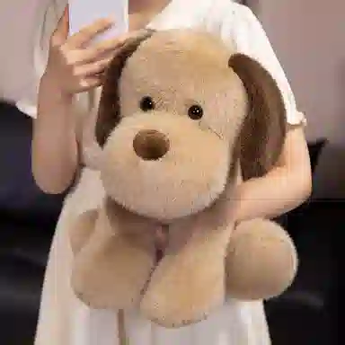 25cm35cm