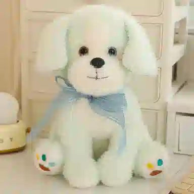 25cm