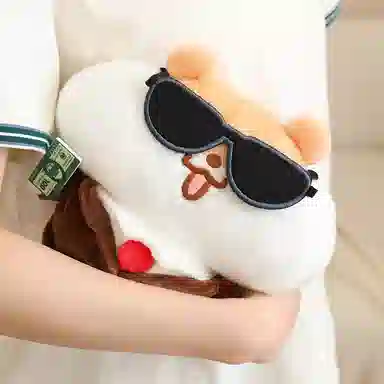 20cm