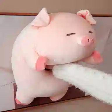 40cm50cm60cm