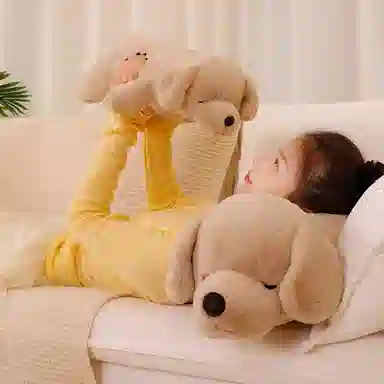 50cm80cm100cm