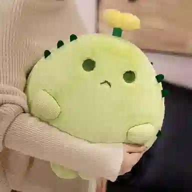 40cm60cm