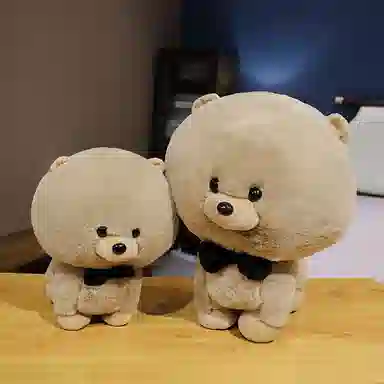 25cm30cm40cm