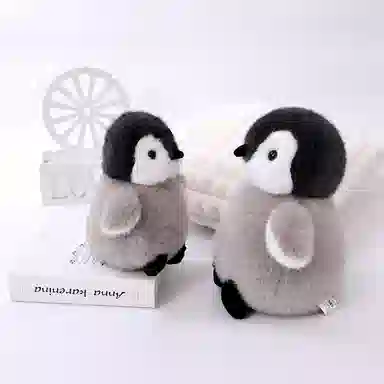 23cm30cm