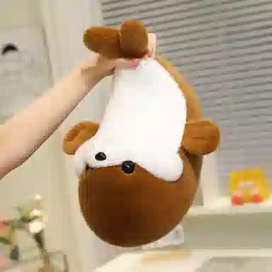 35cm50cm